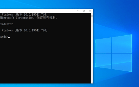 如何用命令行卸载Windows 10上的程序