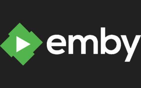 🐨 从删库到得救：记一次解决Emby搜索故障误删库并自救的惊心动魄过程