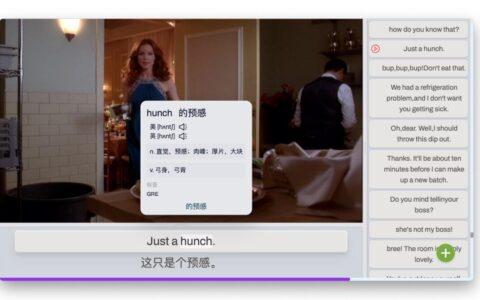 DashPlayer：一款立志考上英语八级的学霸播放器