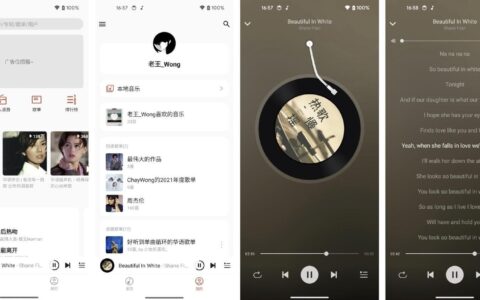 🐺 Ponymusic：一款涅槃重生的云音乐客户端，仅限安卓哦！