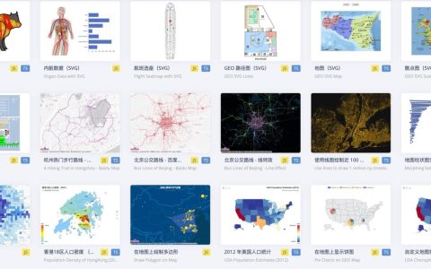🐆 PagePlug：一个Appsmith的中国化低代码平台，轻松部署在NAS上！