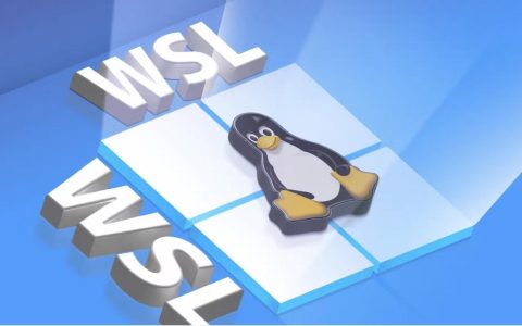 🐧 为什么运行 Linux 和 Windows 时，WSL 比双启动更好